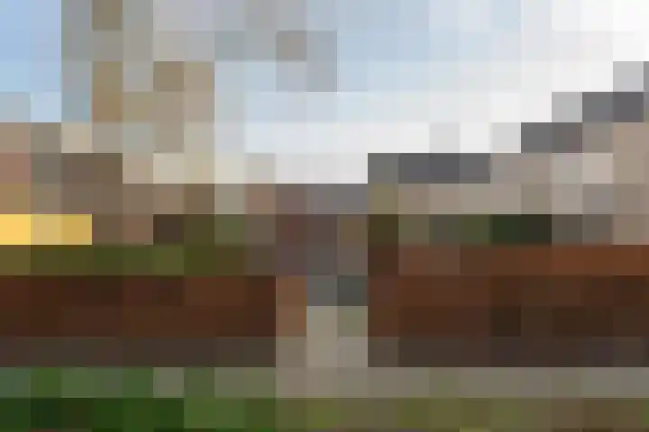 Hondsdraf 26 Sprang-Capelle thumbnail 29