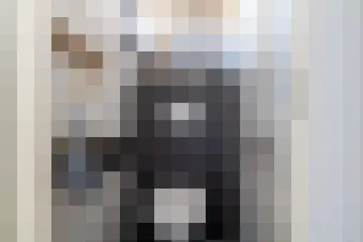 Hondsdraf 26 Sprang-Capelle thumbnail 5