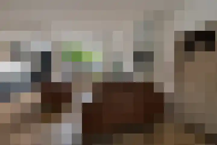 Hondsdraf 28 Leusden thumbnail 10