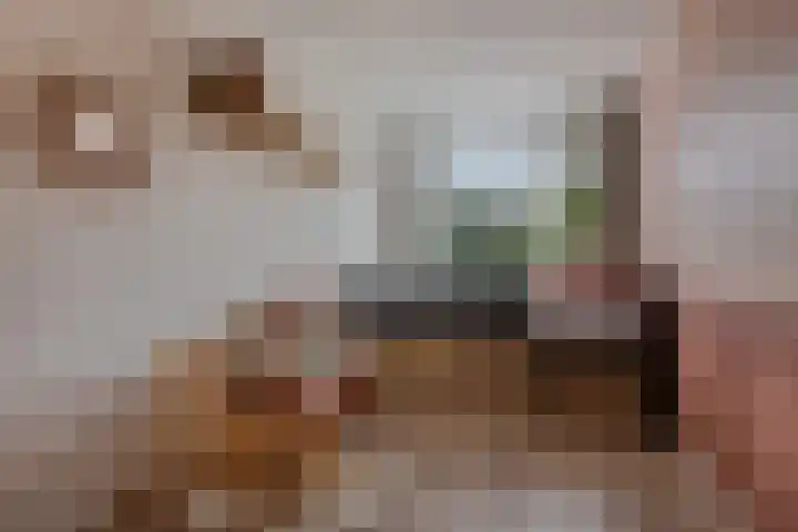 Hondsdraf 28 Leusden thumbnail 14