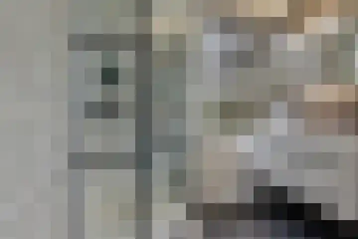 Hondsdraf 28 Leusden thumbnail 17