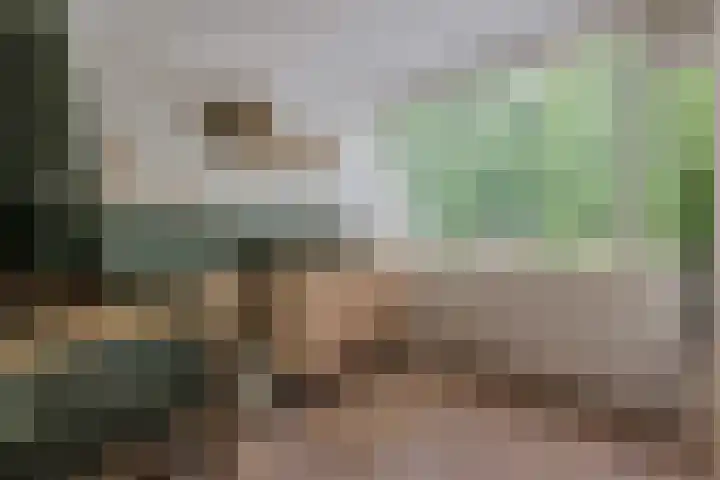 Hondsdraf 28 Leusden thumbnail 19