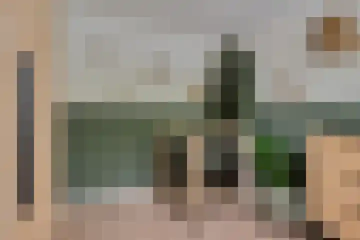 Hondsdraf 28 Leusden thumbnail 20