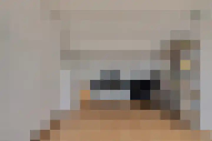 Hondsdraf 28 Leusden thumbnail 21
