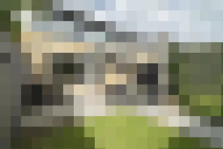 Hondsdraf 28 Leusden thumbnail 24
