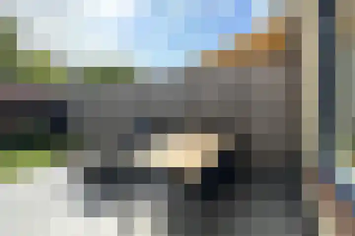 Hondsdraf 28 Leusden thumbnail 25