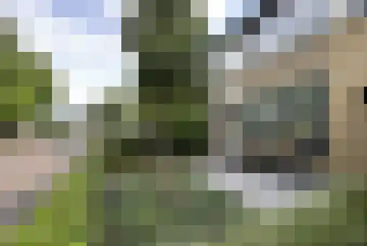 Hondsdraf 28 Leusden thumbnail 28