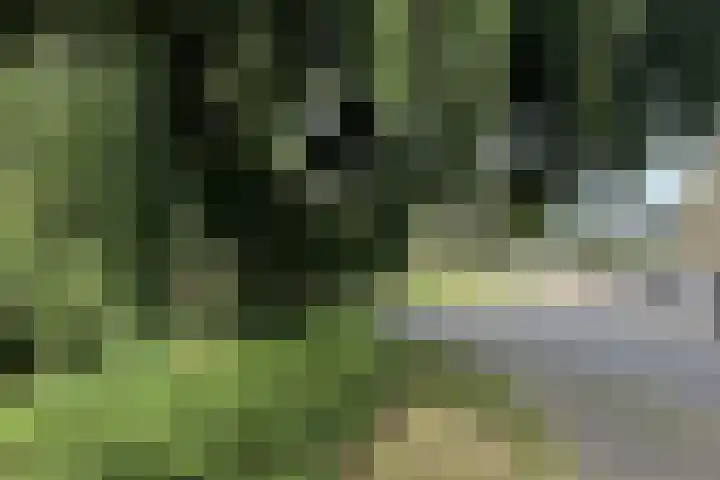 Hondsdraf 28 Leusden thumbnail 30