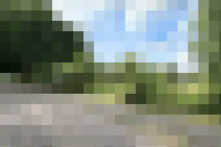 Hondsdraf 28 Leusden thumbnail 31