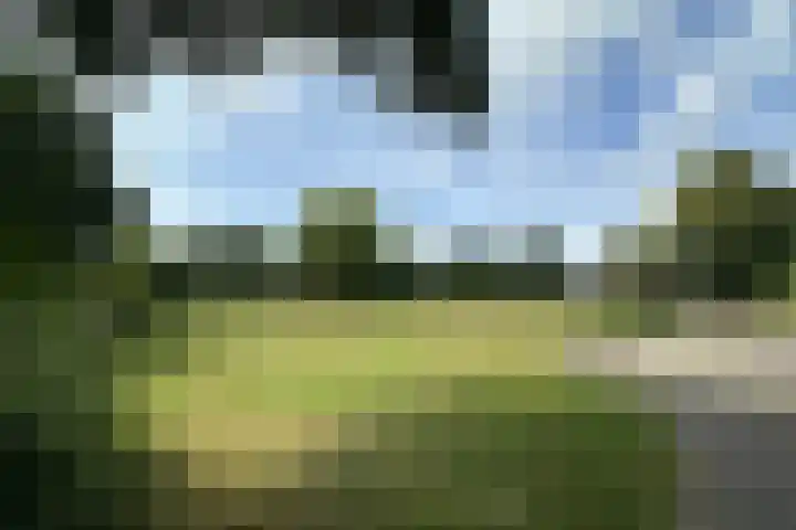 Hondsdraf 28 Leusden thumbnail 32