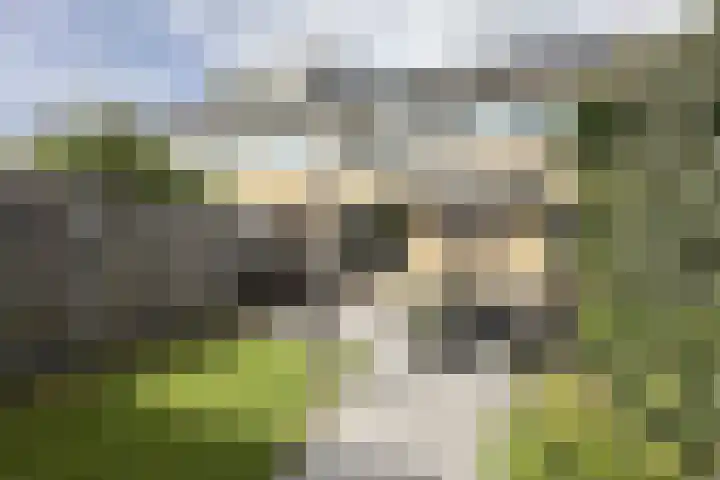 Hondsdraf 28 Leusden thumbnail 4