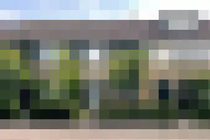 Hondsdraf 28 Leusden thumbnail 45