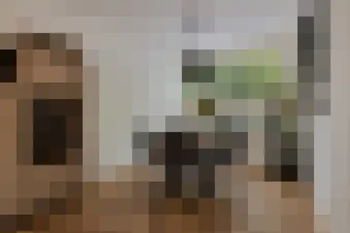 Hondsdraf 28 Leusden thumbnail 7