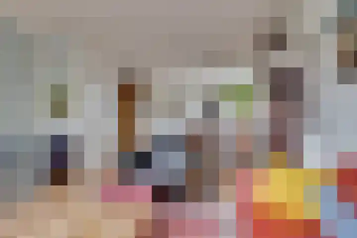 Hondsdraf 49 Leusden thumbnail 10