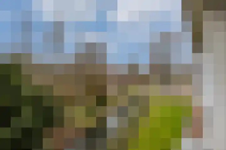 Hondsdraf 49 Leusden thumbnail 20
