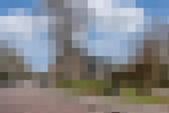 Hondsdraf 49 Leusden thumbnail 22