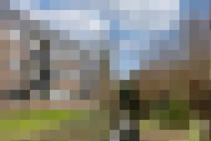 Hondsdraf 49 Leusden thumbnail 23