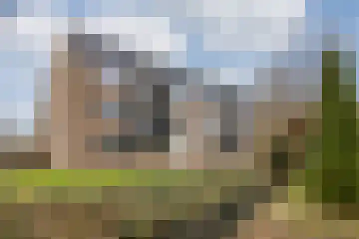 Hondsdraf 49 Leusden thumbnail 24
