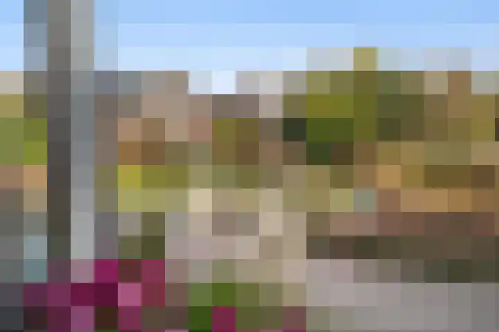 Hondsdraf 6 Deventer thumbnail 21
