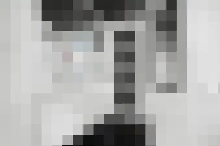 Hondsdraf 6 Deventer thumbnail 23