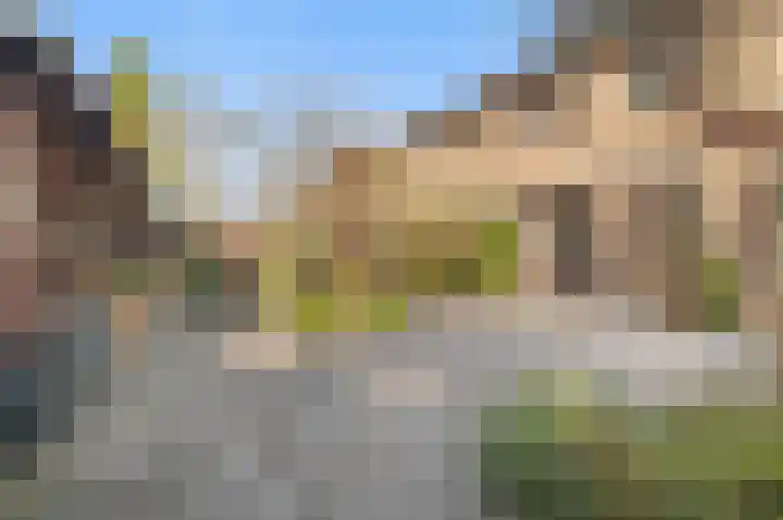 Hondsdraf 6 Deventer thumbnail 31