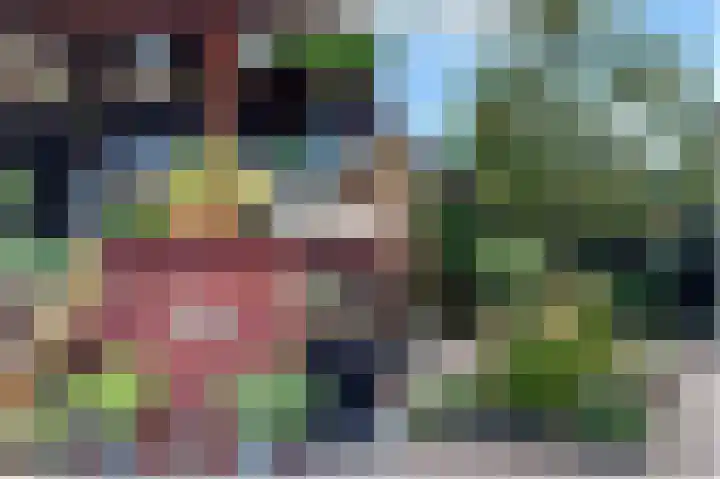Hondsdraf 6 Deventer thumbnail 34