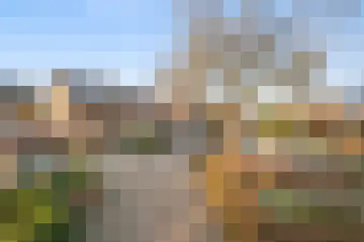 Hondsdraf 6 Deventer thumbnail 36