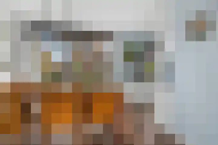 Hondsdraf 6 Deventer thumbnail 7