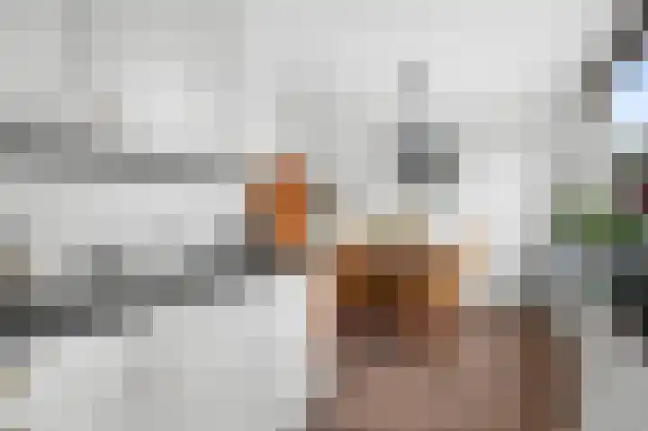 Hondsdraf 6 Deventer thumbnail 9