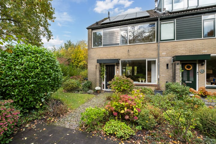 Hondsdraf 7 in Leusden foto