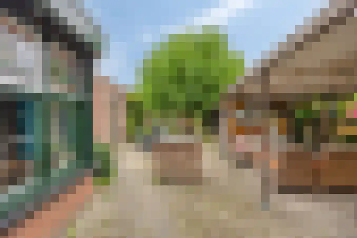 Hondseind 9 Ossendrecht thumbnail 25
