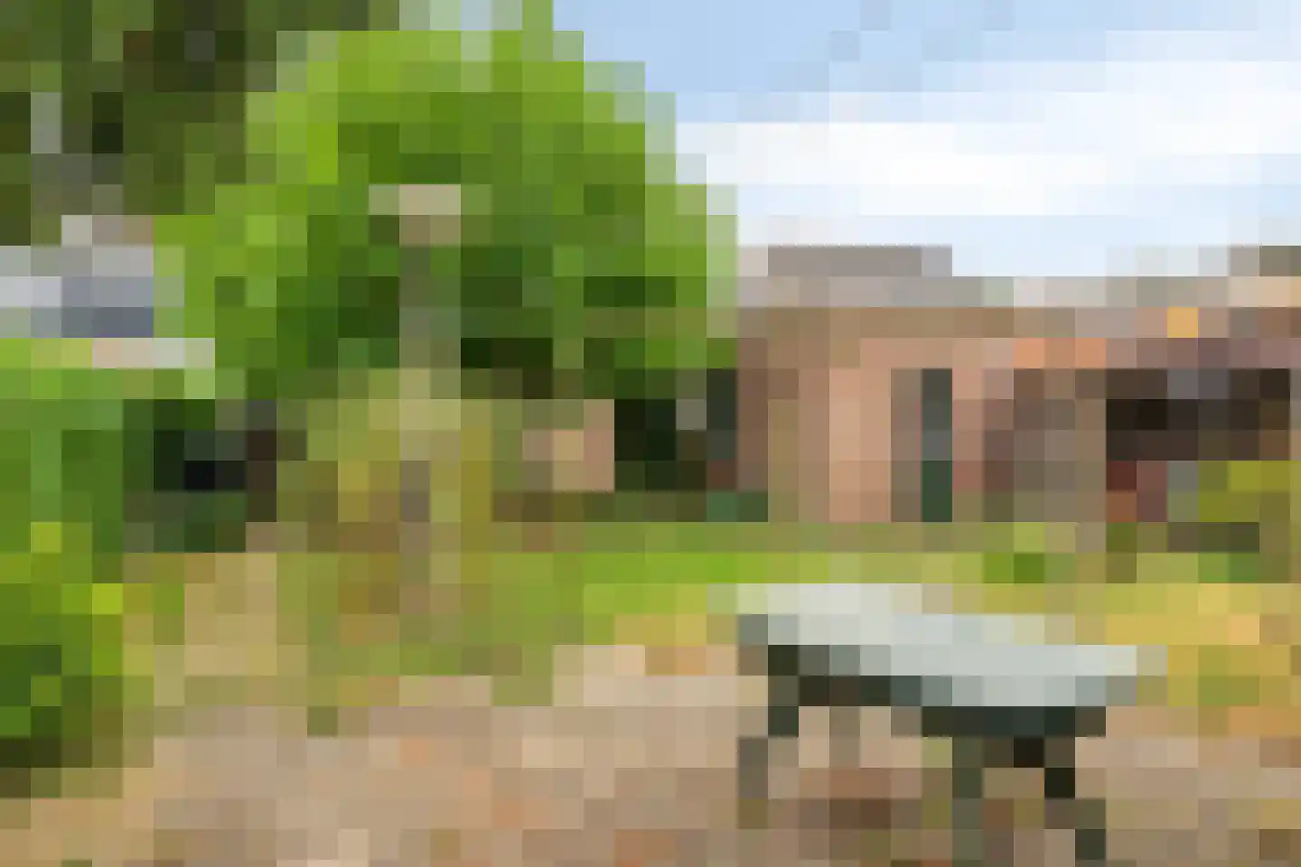 Hondseind 9 Ossendrecht thumbnail 27