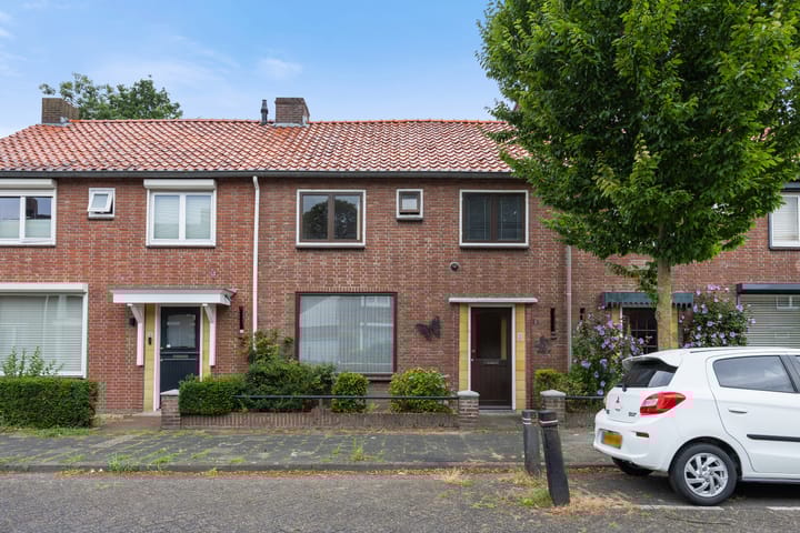 Hondsklauw 5 in Sint-Michielsgestel foto