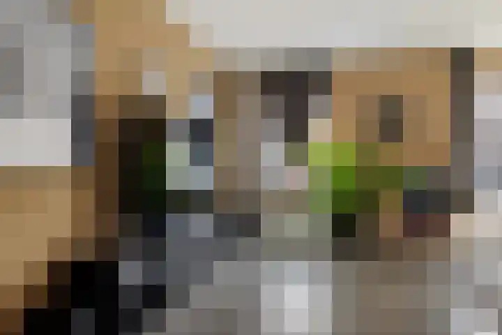 Hondsrooswal 13 Emmen thumbnail 10