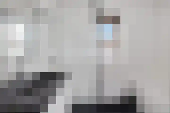 Hondsrooswal 13 Emmen thumbnail 22