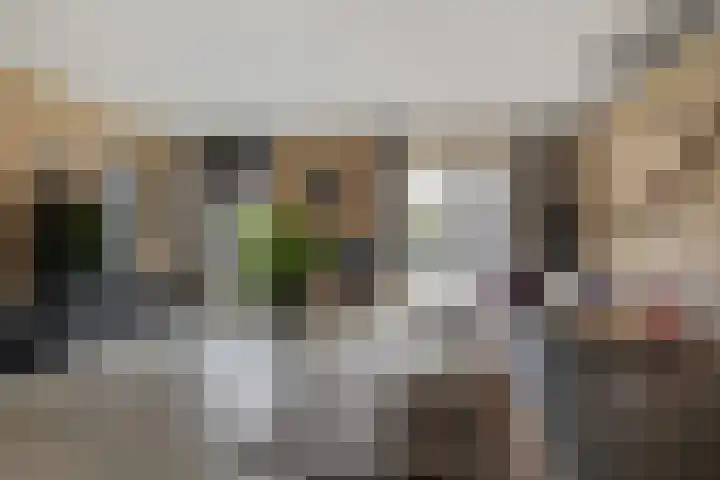 Hondsrooswal 13 Emmen thumbnail 8