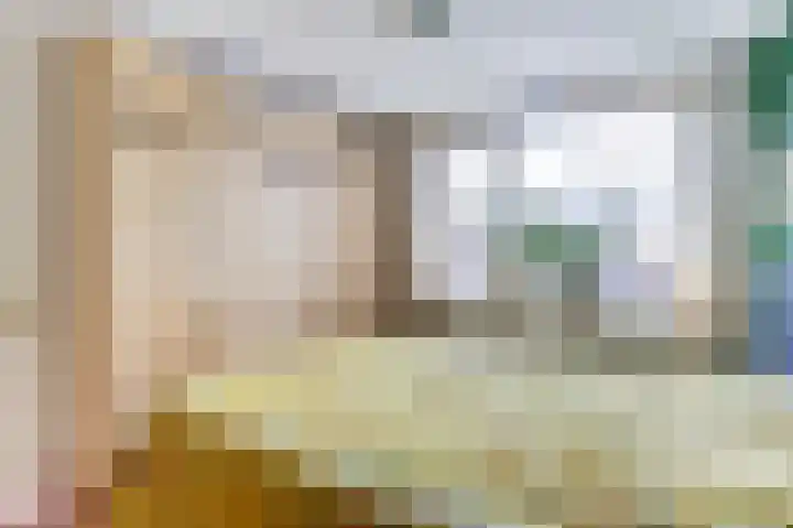 Hondsrug 206 Dronten thumbnail 16