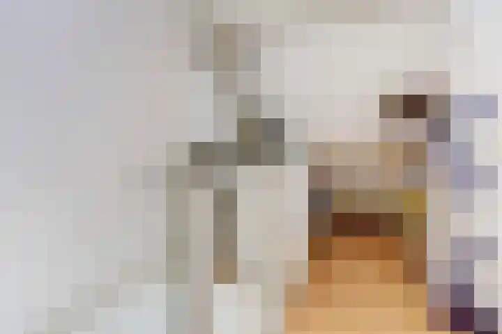 Hondsrug 206 Dronten thumbnail 23