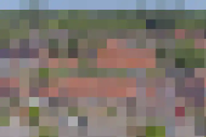 Hondsrug 206 Dronten thumbnail 33
