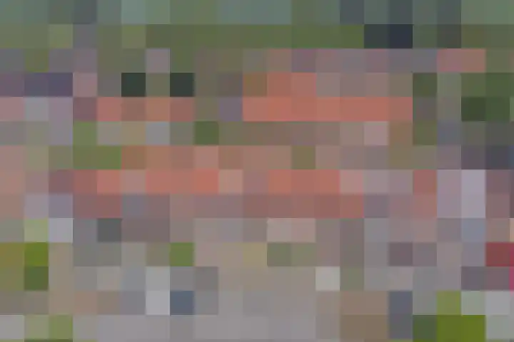 Hondsrug 206 Dronten thumbnail 34