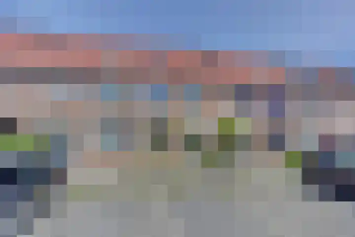 Hondsrug 206 Dronten thumbnail 45