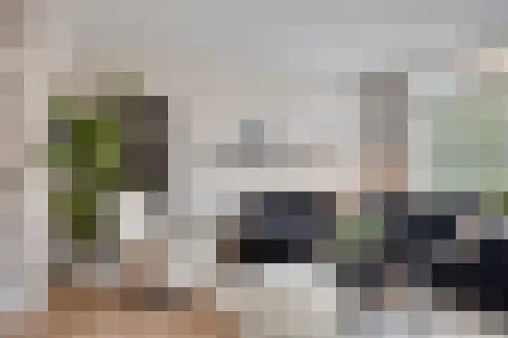Hondsrug 68 Dronten thumbnail 11
