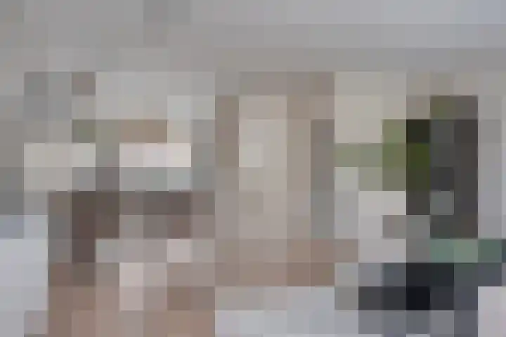 Hondsrug 68 Dronten thumbnail 14