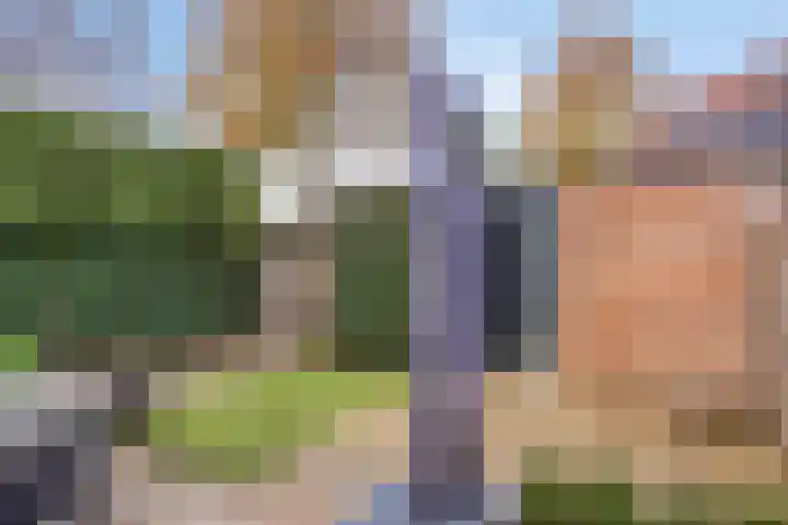 Hondsrug 68 Dronten thumbnail 29