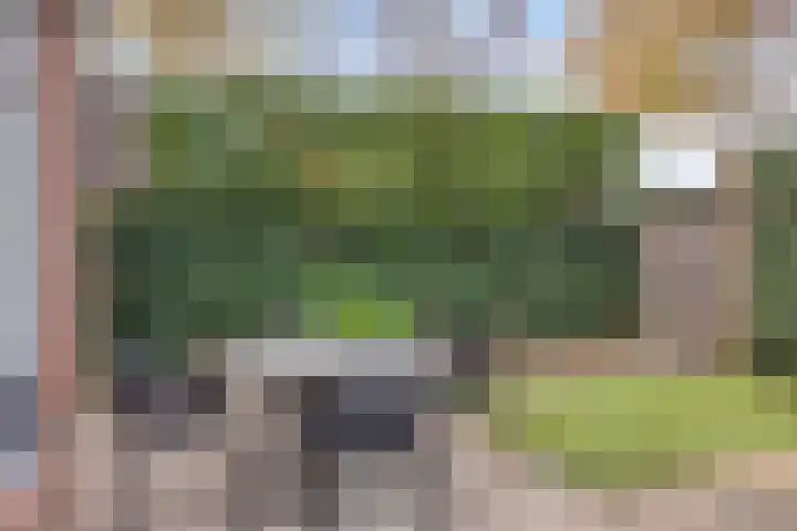 Hondsrug 68 Dronten thumbnail 30