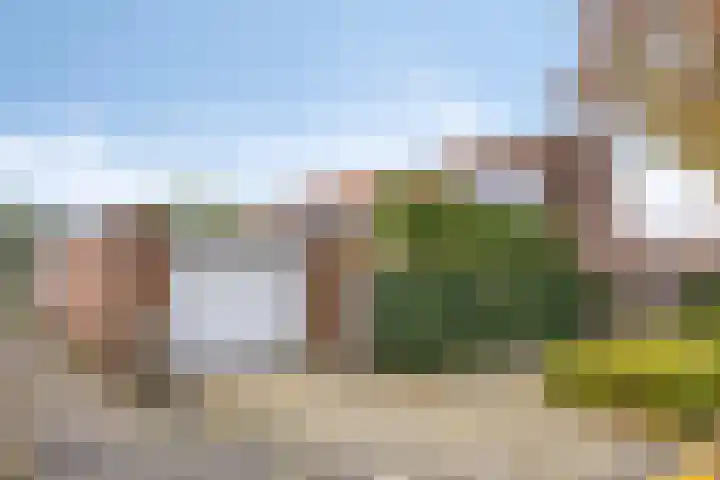 Hondsrug 68 Dronten thumbnail 32