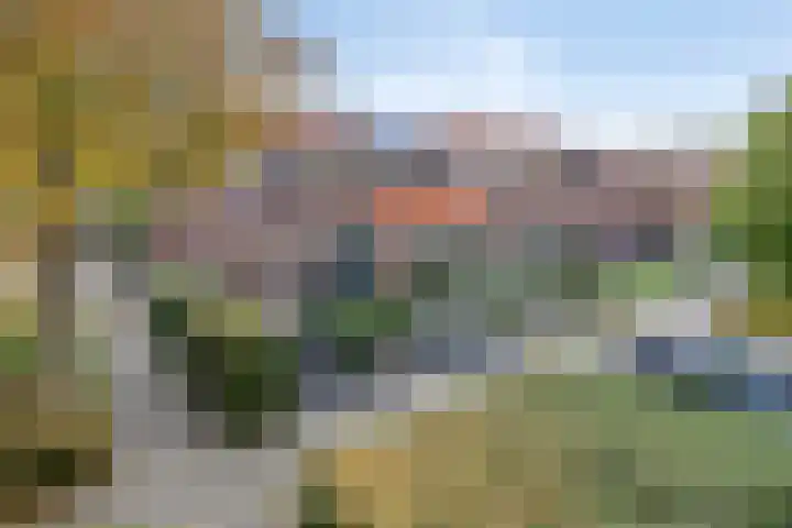 Hondsrug 68 Dronten thumbnail 35