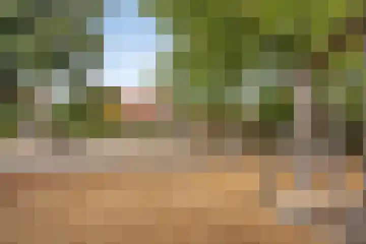 Hondsrug 68 Dronten thumbnail 37