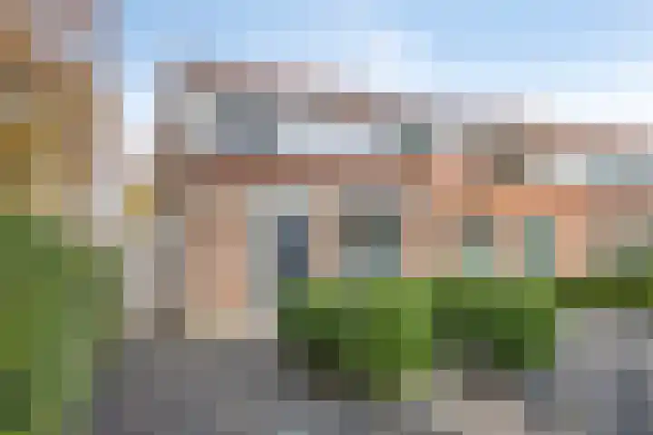 Hondsrug 68 Dronten thumbnail 4