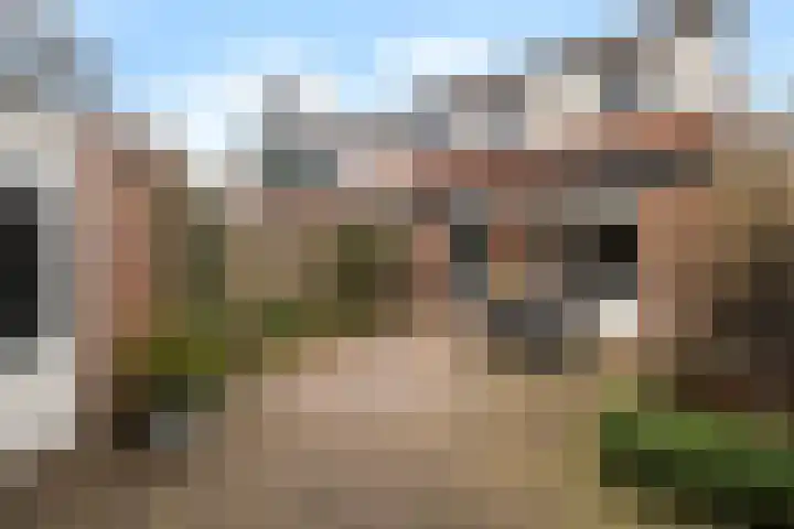 Hondsrug 8 Dronten thumbnail 19